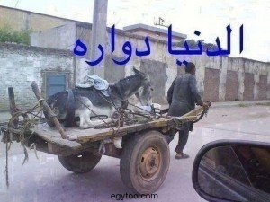 الدنيا دوارة